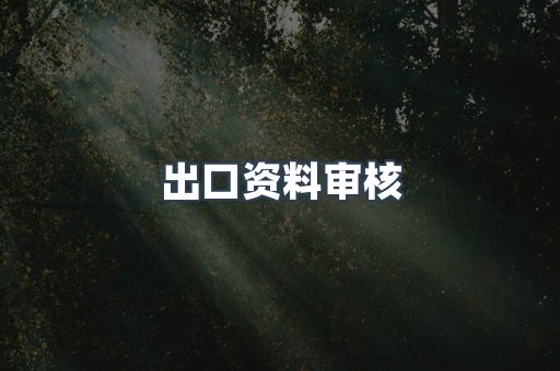 出口资料审核